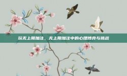 玩无上限加注，无上限加注中的心理博弈与挑战