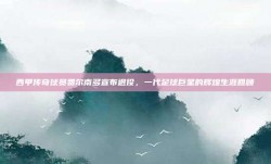 西甲传奇球员费尔南多宣布退役，一代足球巨星的辉煌生涯回顾