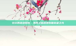 切尔西连续取胜，争四之路逐步恢复希望之光