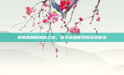 迷雾森林的神秘之旅，探寻未知世界的绿色秘境