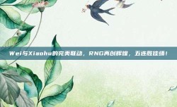 Wei与Xiaohu的完美联动，RNG再创辉煌，五连胜佳绩！