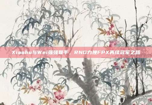 Xiaohu与Wei强强联手，RNG力挫FPX再续冠军之路  第1张