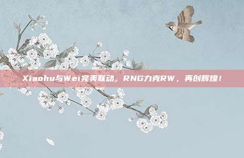 Xiaohu与Wei完美联动，RNG力克RW，再创辉煌！  第1张