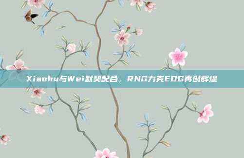 Xiaohu与Wei默契配合，RNG力克EDG再创辉煌  第1张