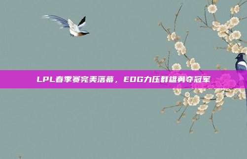 LPL春季赛完美落幕，EDG力压群雄勇夺冠军  第1张