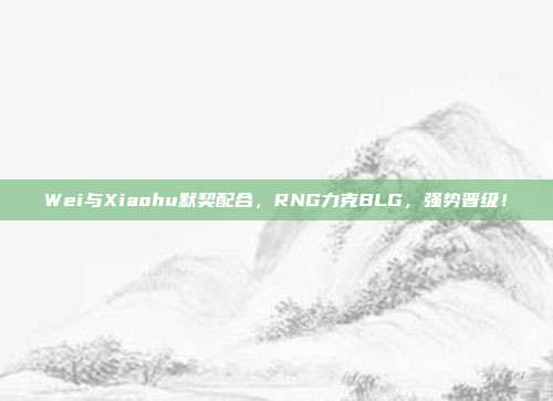 Wei与Xiaohu默契配合，RNG力克BLG，强势晋级！  第1张