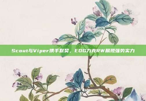 Scout与Viper携手默契，EDG力克RW展现强势实力  第1张