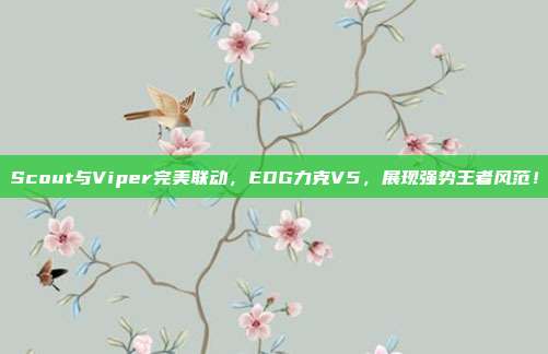 Scout与Viper完美联动，EDG力克V5，展现强势王者风范！  第1张